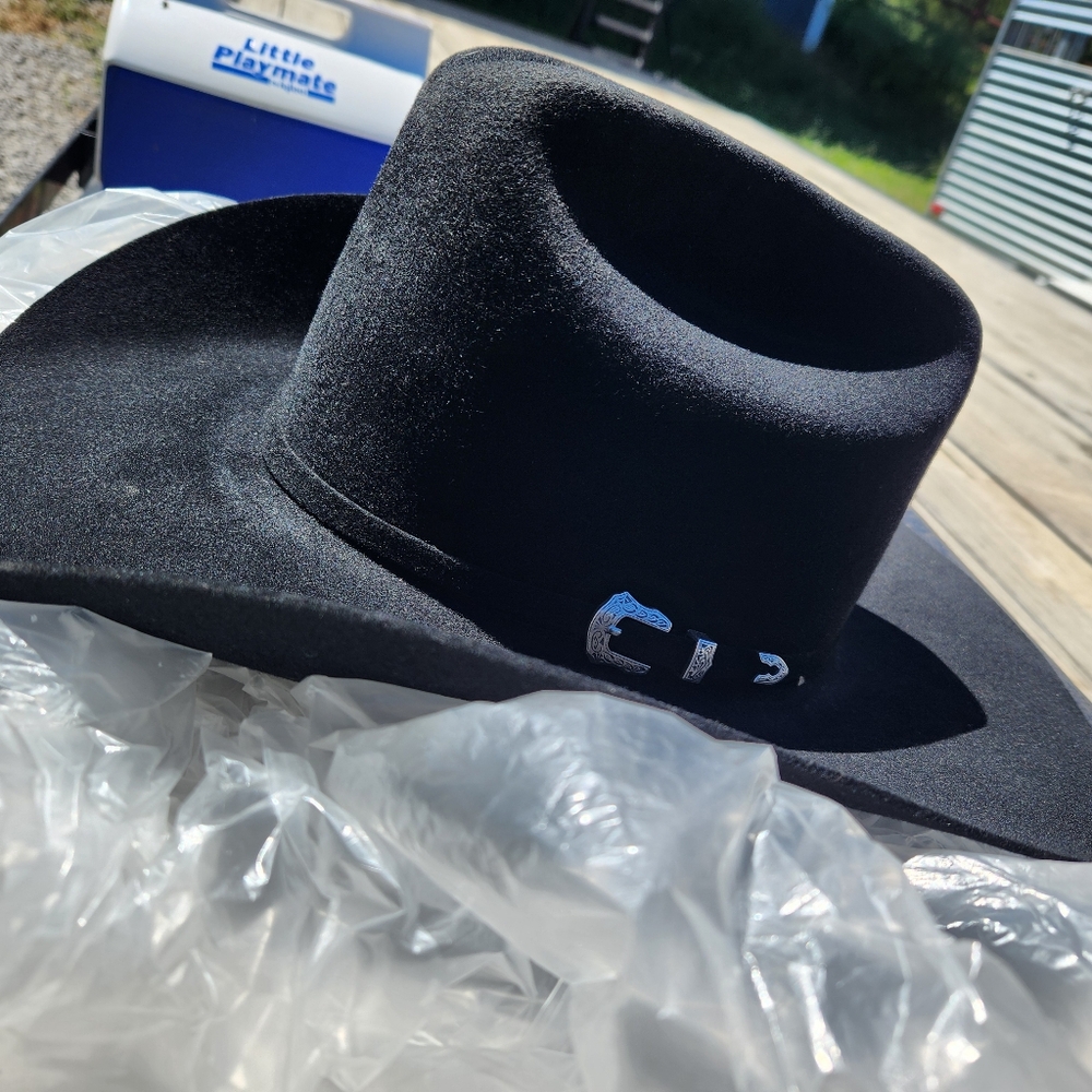 Bailey Western Hat - image 2